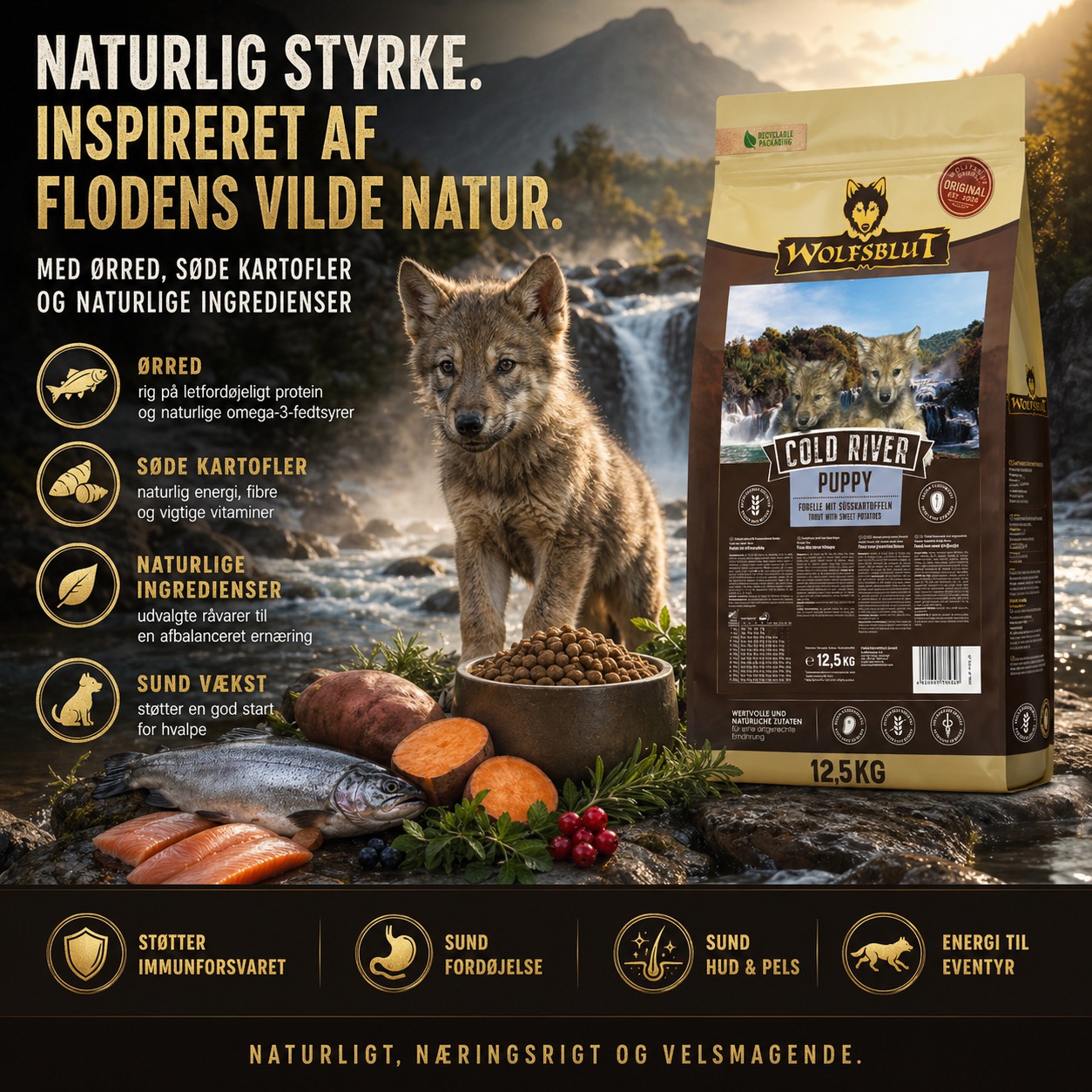 Wolfsblut Cold River Puppy hundefoder