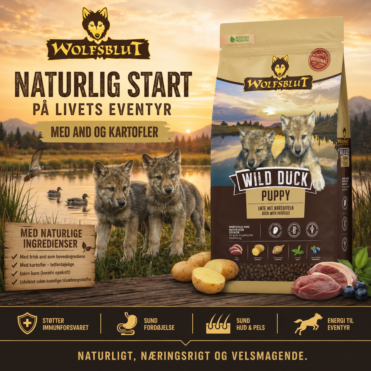 Wolfsblut Wild Duck Puppy hundefoder